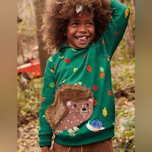 Mini boden KIDS' PATCHWORK APPLIQUE HOODIE IN FOREST GREEN HEDGEHOG